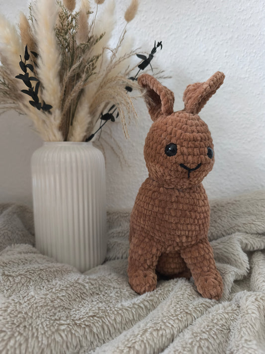 Hase